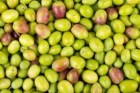 Huile d'olive bio des Mées fruité vert